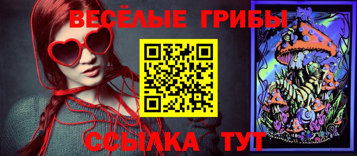 Галлюциногенные грибы прущие грибы Лабытнанги