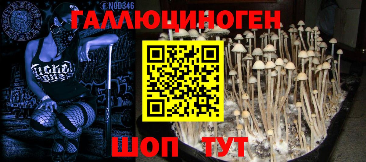 Меф мяу мяу Лабытнанги