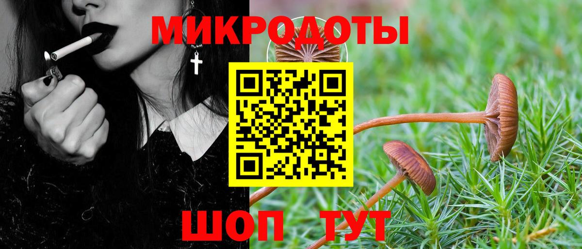 Псилоцибиновые грибы GOLDEN TEACHER  Вход с VPN  Лабытнанги 